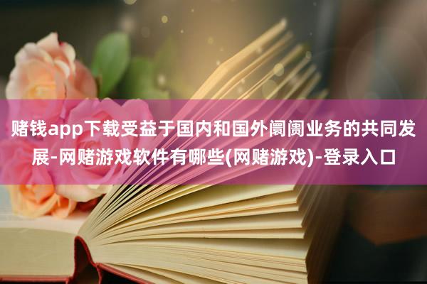 赌钱app下载受益于国内和国外阛阓业务的共同发展-网赌游戏软件有哪些(网赌游戏)-登录入口